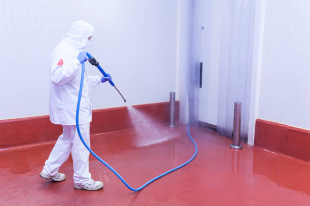 Best Boat and Dock Cleaning  in Chatham, IL