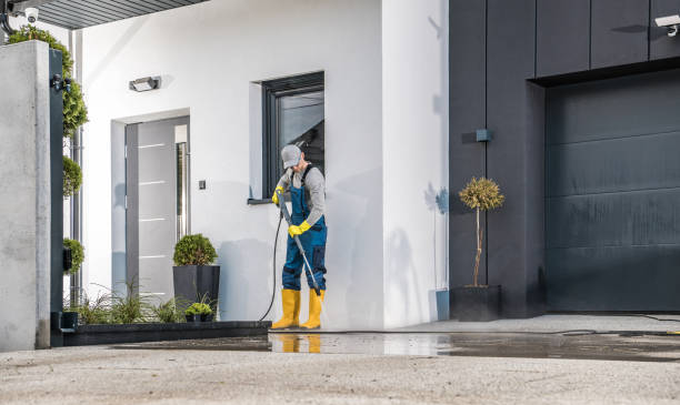Best Sidewalk and Walkway Cleaning  in Chatham, IL